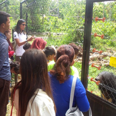 Youths looking at the bears