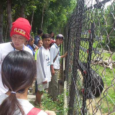 Youths and bears