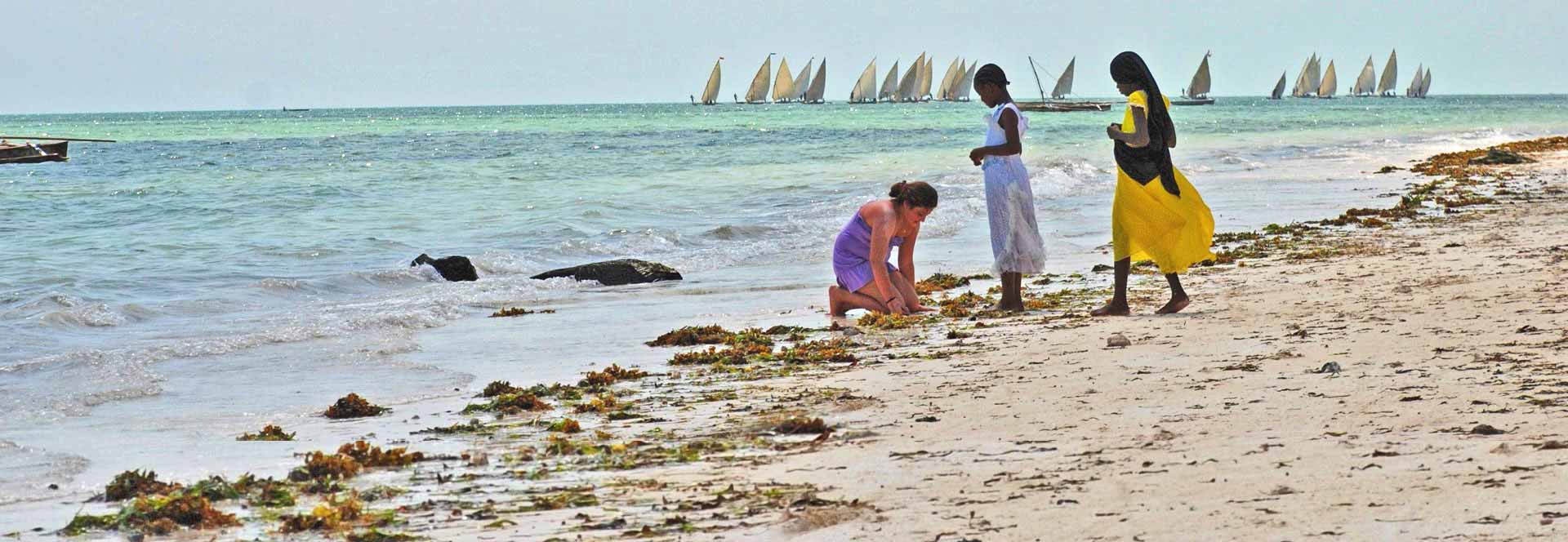 Safari & beach holidays in 2025 & 2025 Responsible Travel