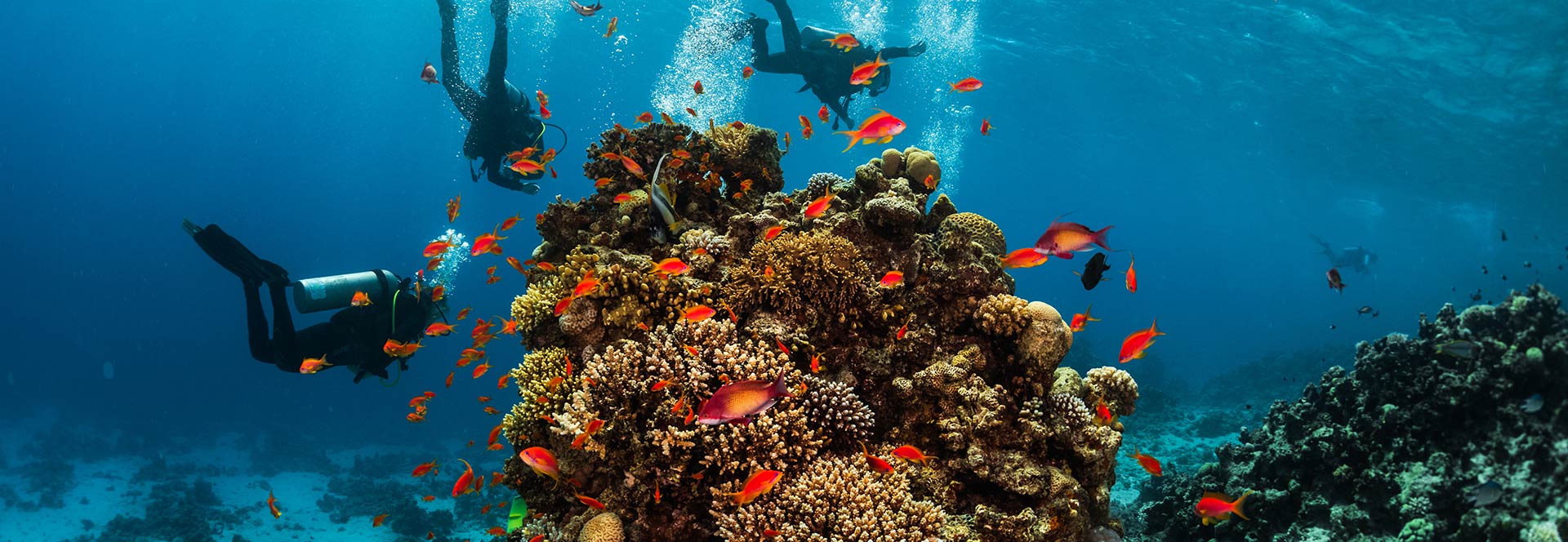 Red Sea holidays & tours in 2024 & 2025 Responsible Travel