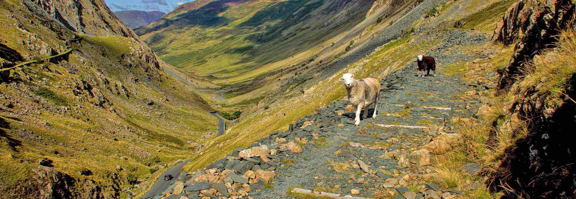 Lake District holidays & tours in 2025 & 2026 Responsible Travel