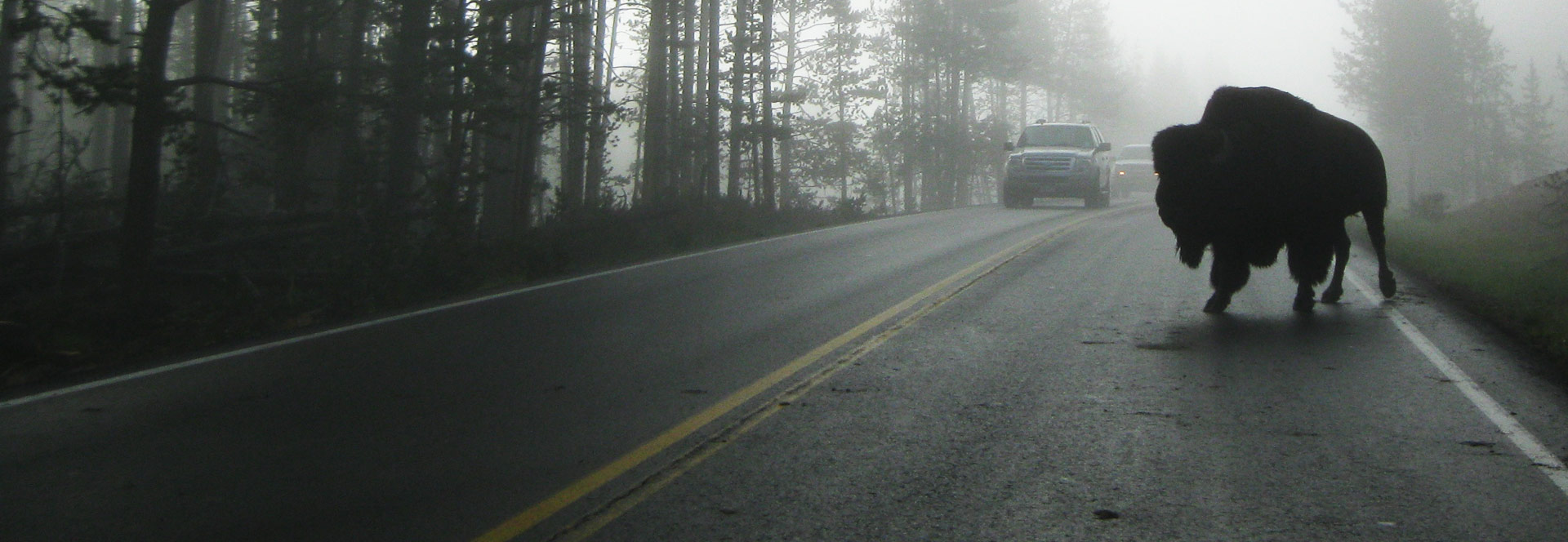 Yellowstone holidays & tours in 2024 & 2025 Responsible Travel