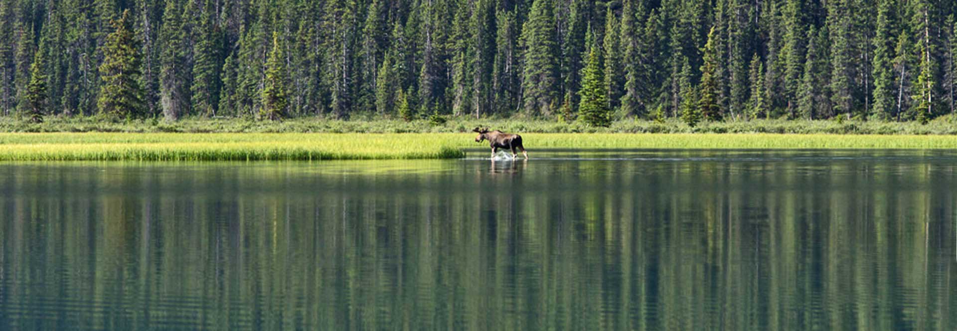 Canada holidays in 2024 & 2025 Responsible Travel