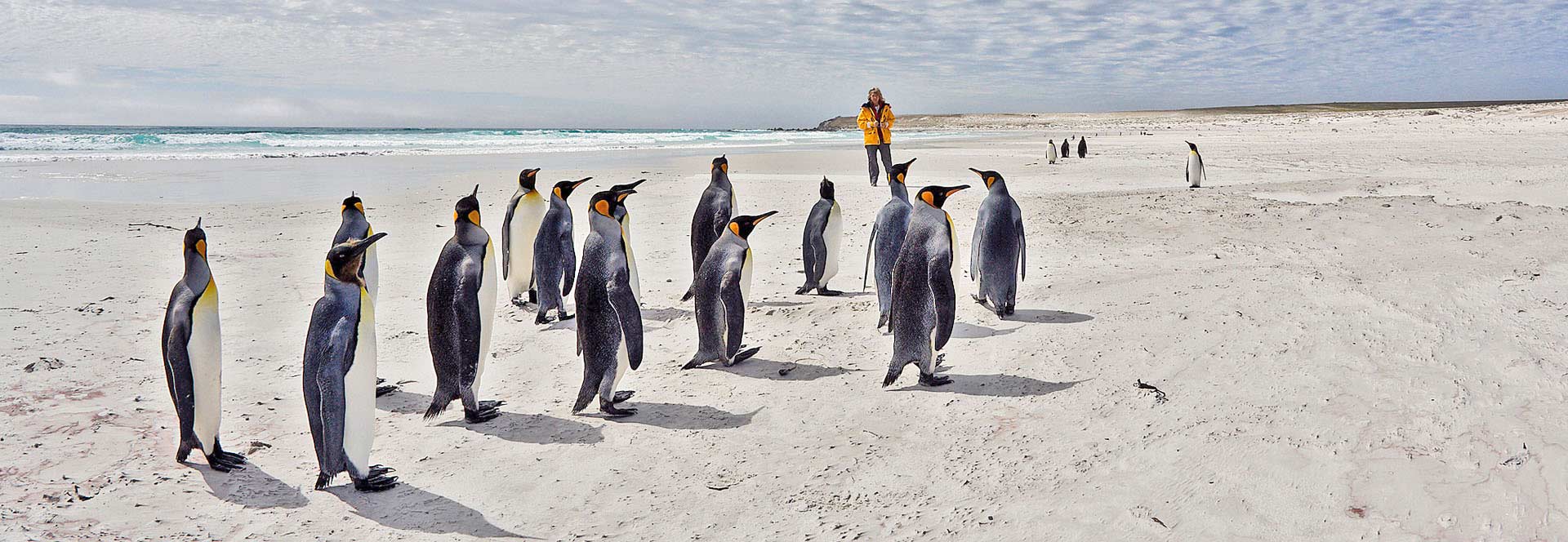 responsible travel falklands