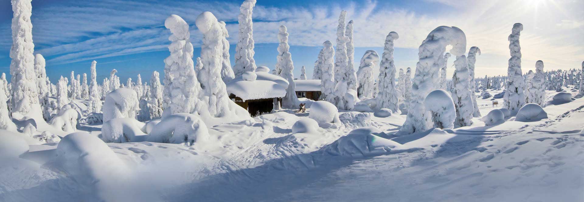 Winter holidays in Finland in 2024 & 2025 Responsible Travel