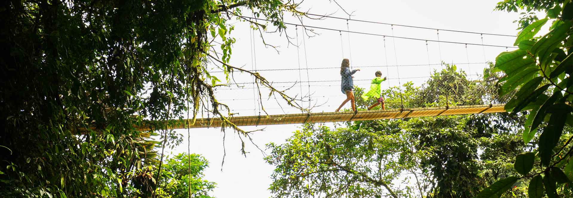 Best time for a family holiday in Costa Rica - Responsible Travel