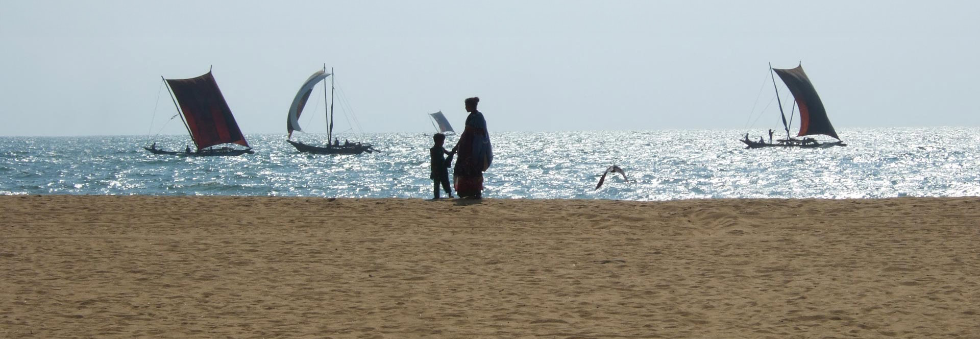 Best time for a family holiday in Sri Lanka - Responsible Travel