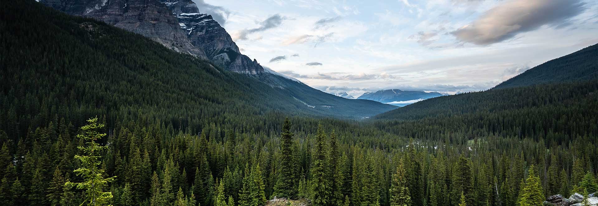 Wilderness holidays in 2025 & 2026 | Responsible Travel