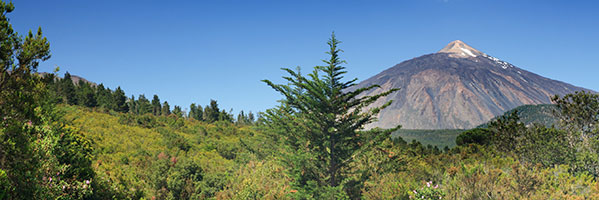 Tenerife