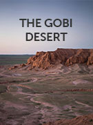 The Gobi Desert