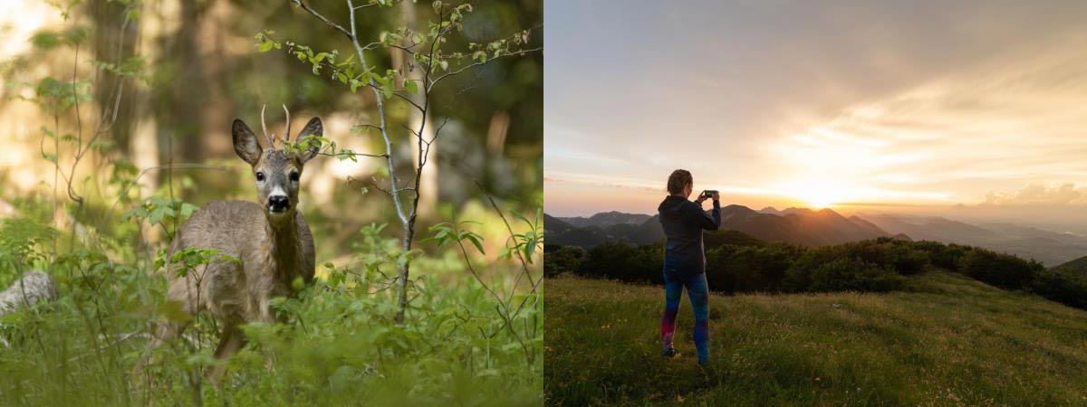 Images from our Croatia Hiking holiday