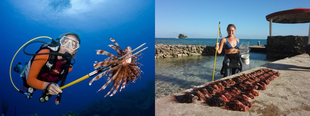 Images from our Dive conservation in Belize holiday