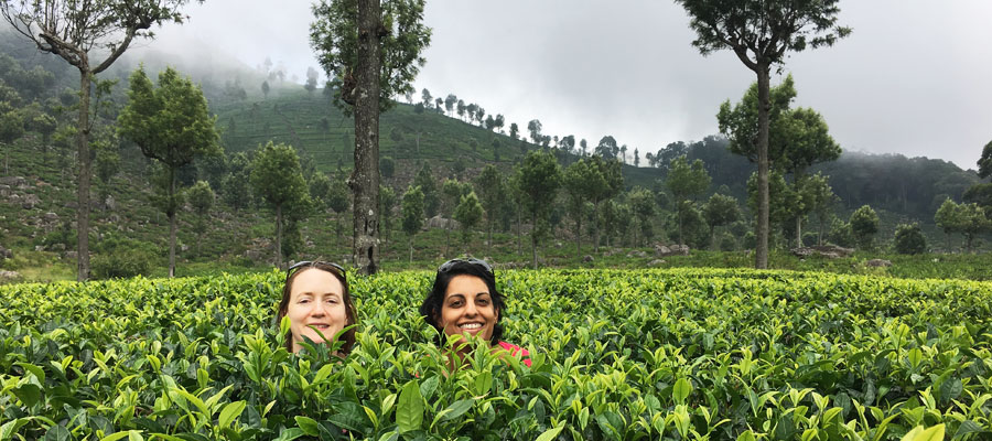 Smita & Victoria in a tea plantation