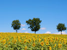 Umbria self guided walking holiday, Italy