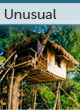 Unusual guide
