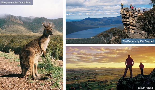 Kangaroo, Mount Rouse and the Pinnacle, Victoria. Photo from Victoria Tourist Board