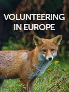 Volunteering in Europe holidays