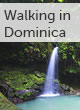Dominica walking guide