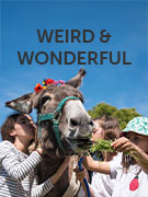 Weird and wonderful holidays Weird and wonderful holidays