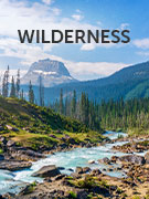 Wilderness holidays