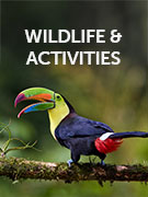 Wildlife & activities holidays Wildlife & activities holidays