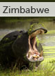 Zimbabwe guide