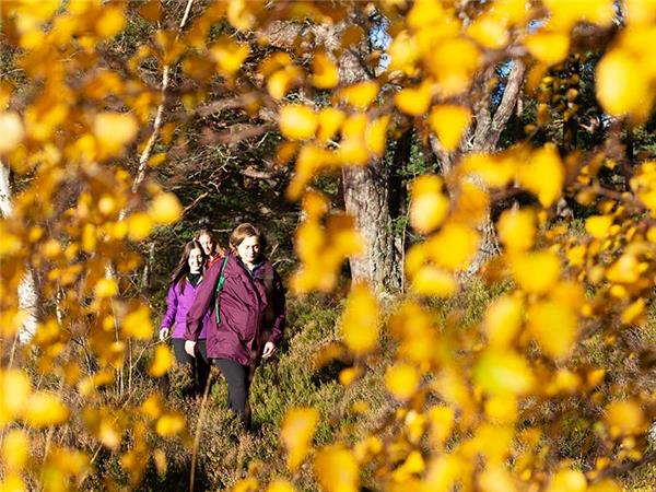 Autumn walking holiday in the Scottish Highlands