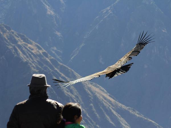 Lima to Cusco tour, Peru
