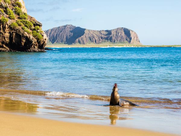 Ecuador and Galapagos holiday, 23 days