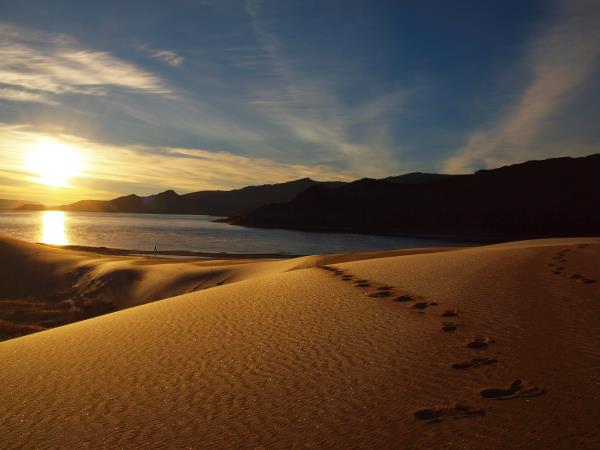 Mongolia's Ultimate Road Trip holiday