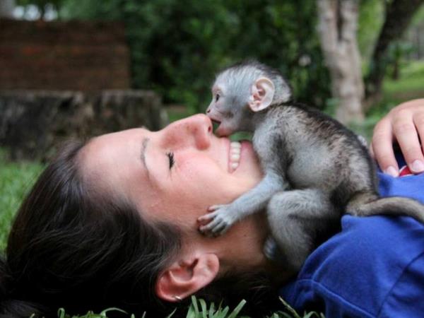 Family volunteering with monkeys in South Africa