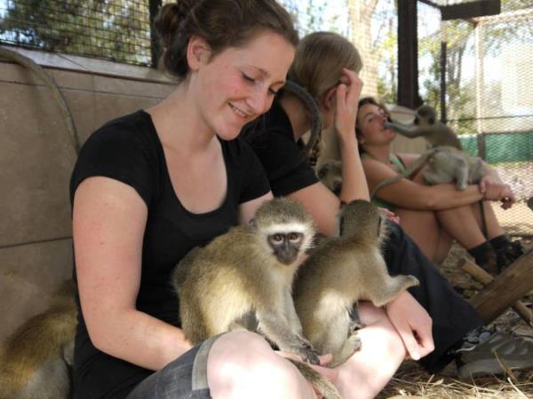 Family volunteering with monkeys in South Africa