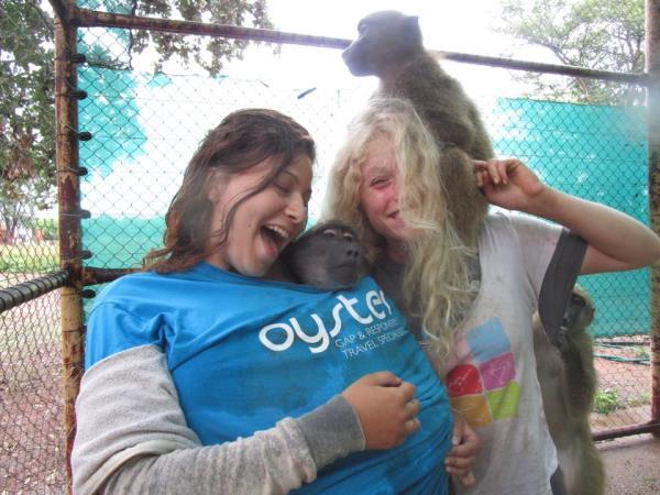 Family volunteering with monkeys in South Africa