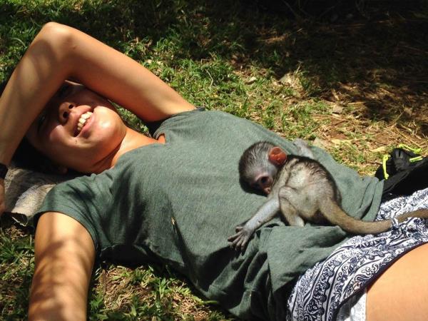 Family volunteering with monkeys in South Africa