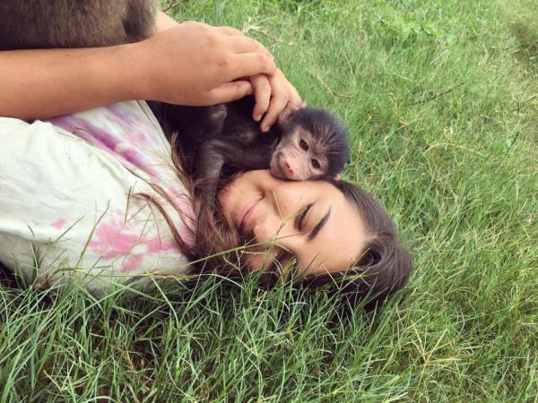 Family volunteering with monkeys in South Africa