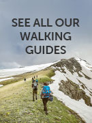 See all related guides